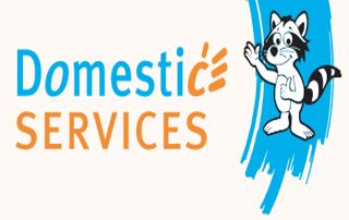 domestic services bruxelles